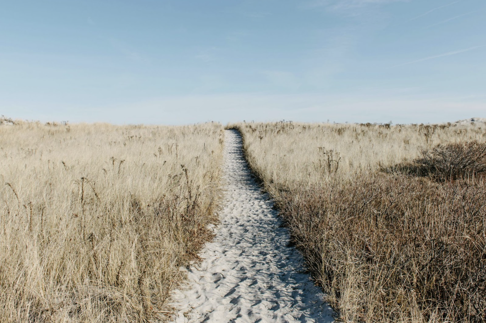 Path to purpose, purposeful living, mindful presence, how to get out of survival mode